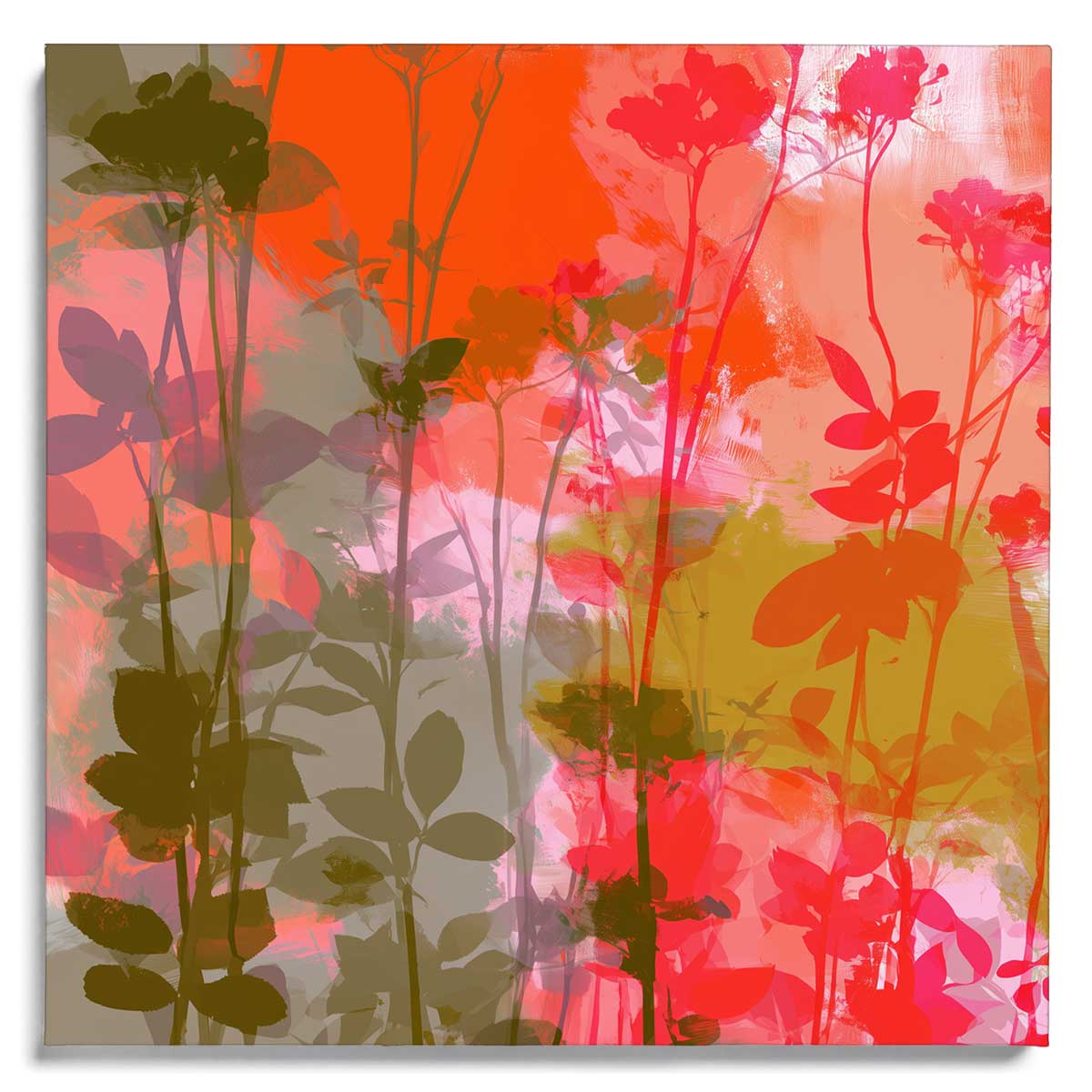 Coral Garden