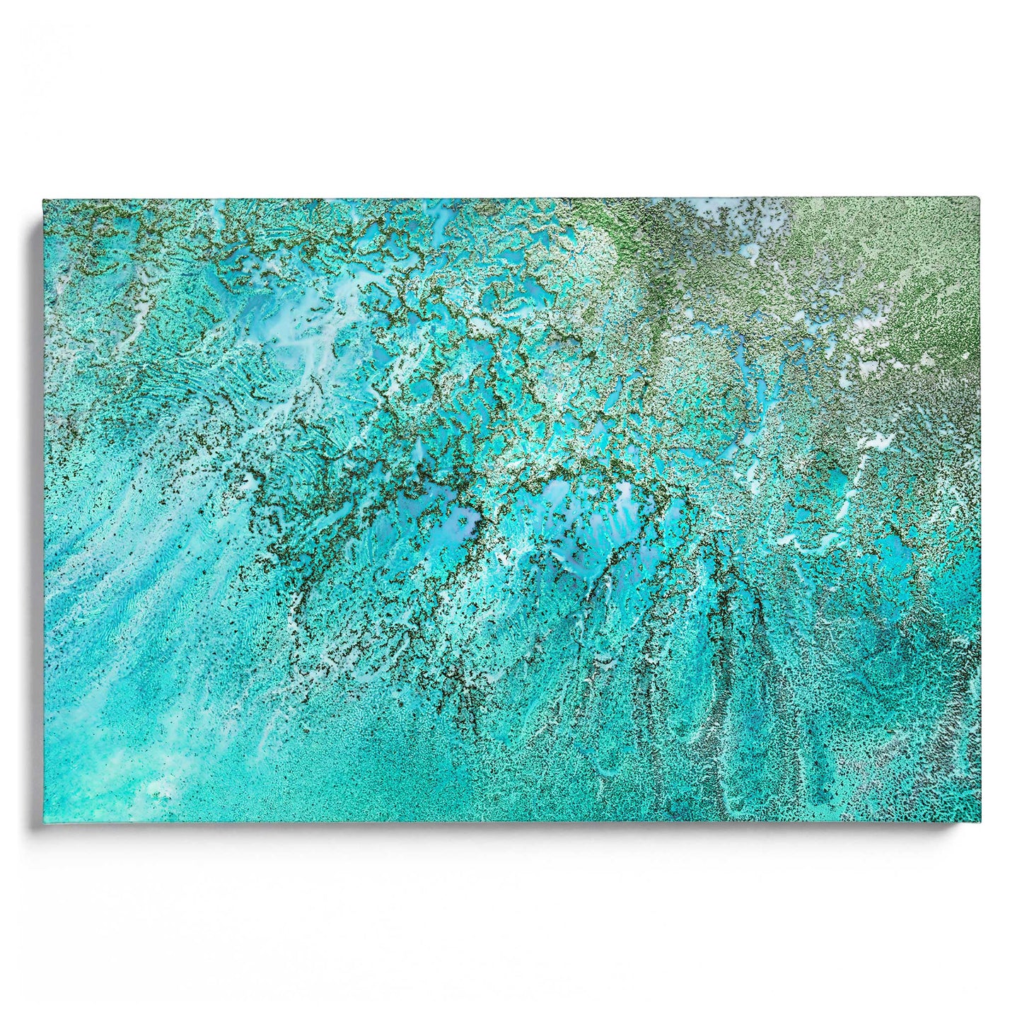 Coral Kingdom Leinwandbild