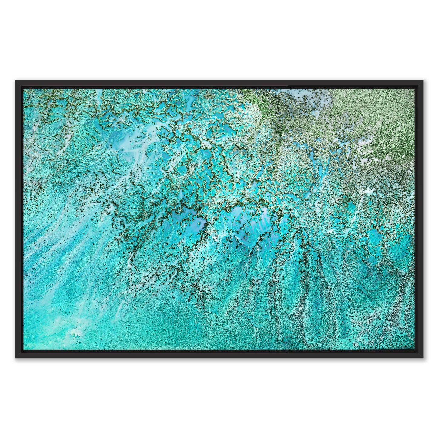 Coral Kingdom Leinwandbild