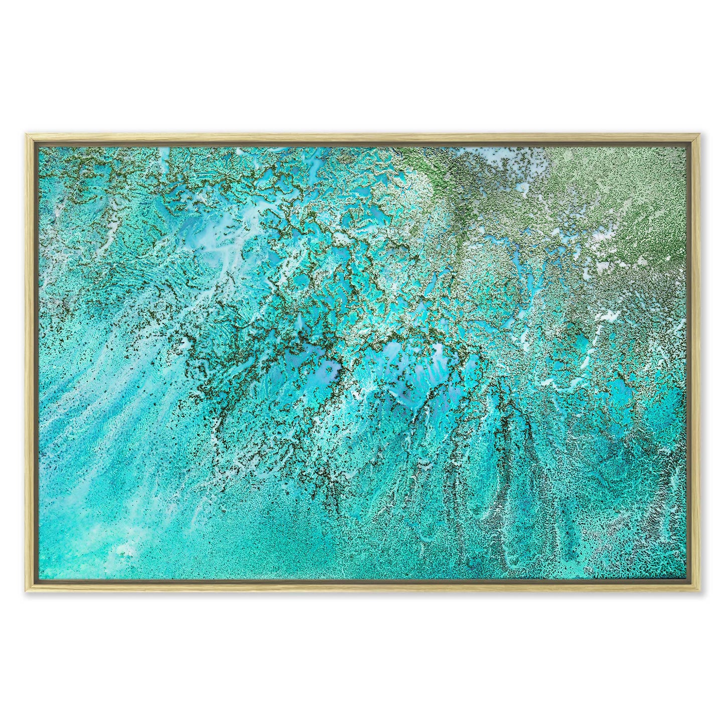 Coral Kingdom Leinwandbild