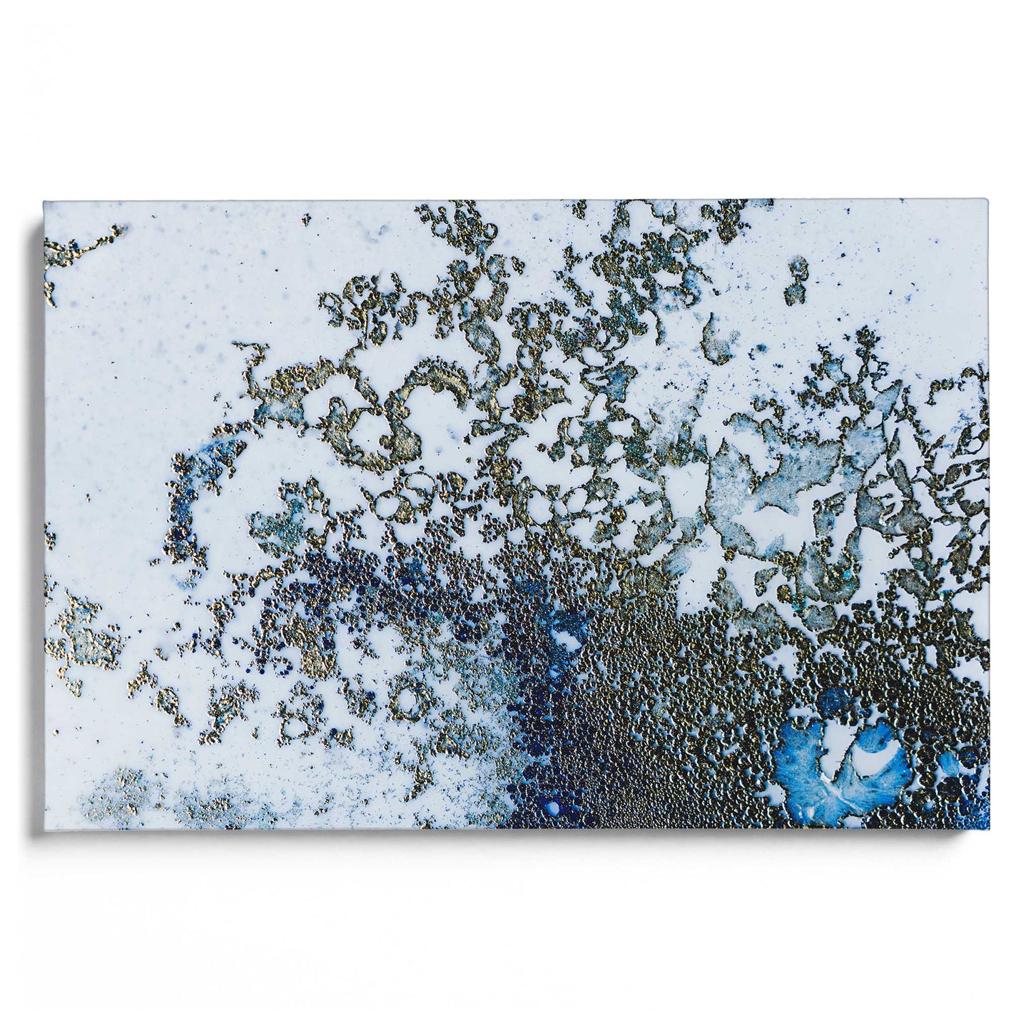 Coral Rising Leinwandbild