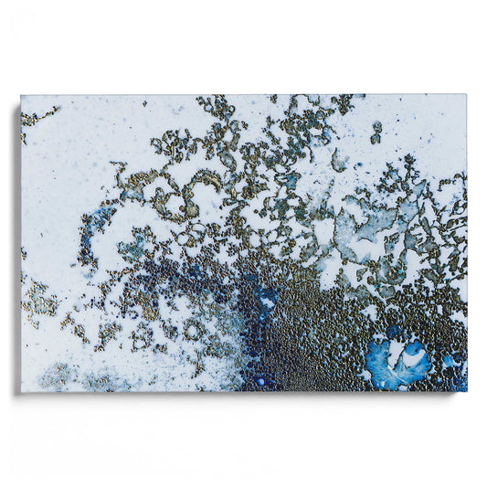 Coral Rising Leinwandbild