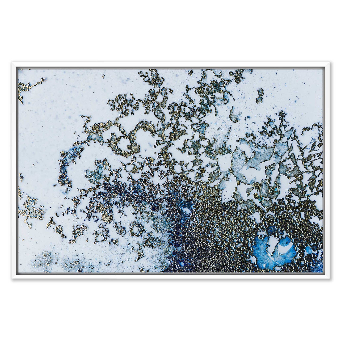 Coral Rising Leinwandbild