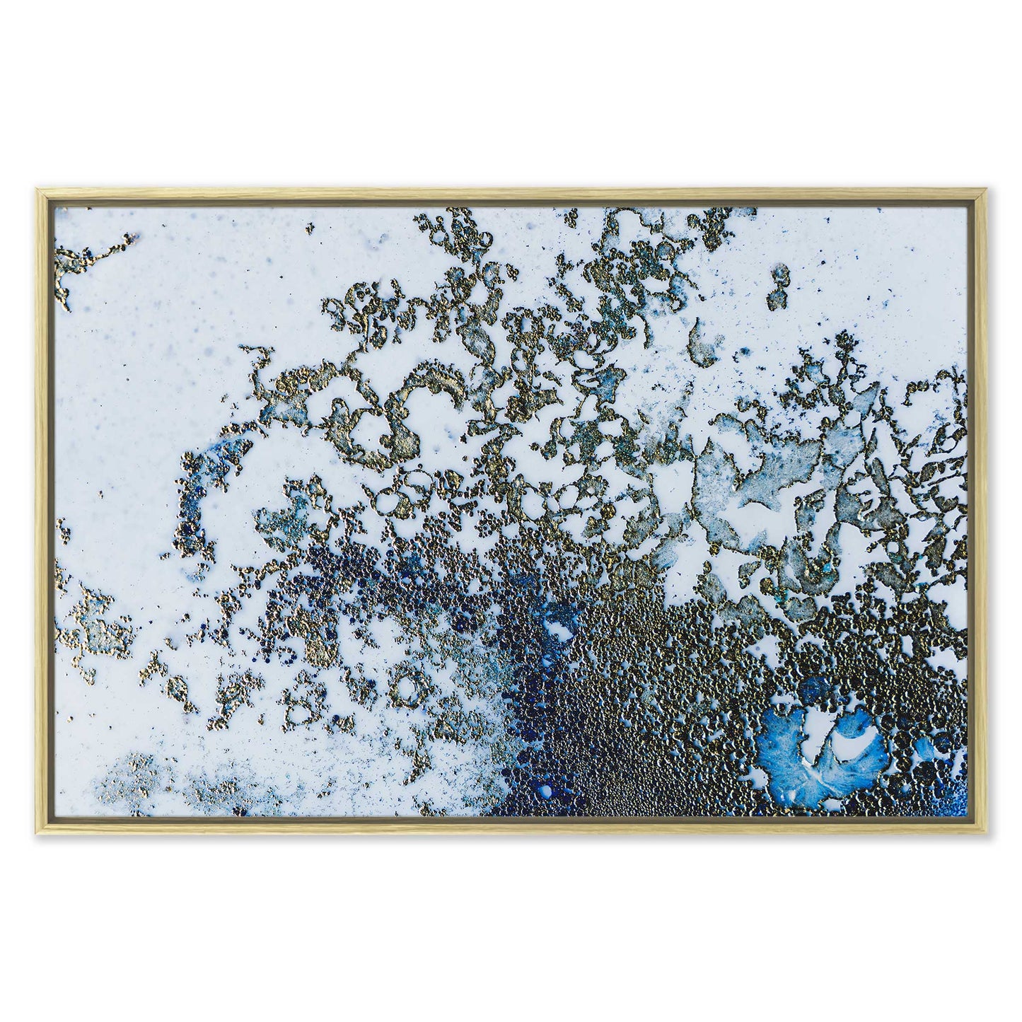 Coral Rising Leinwandbild