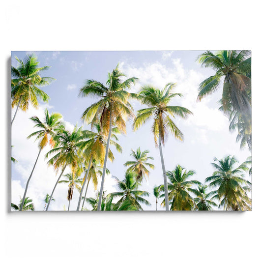 Dominican Republic