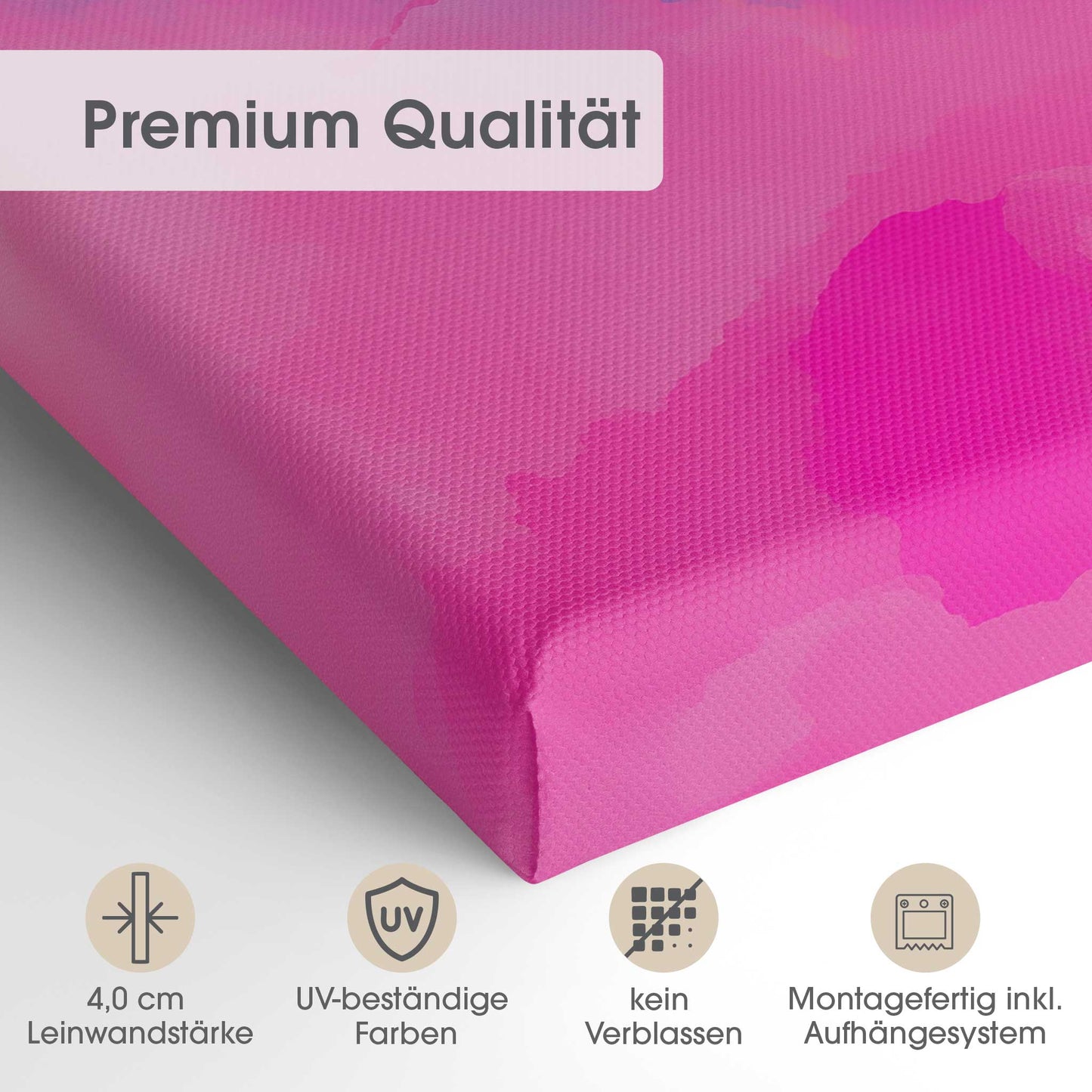 Dreaming Above the Clouds