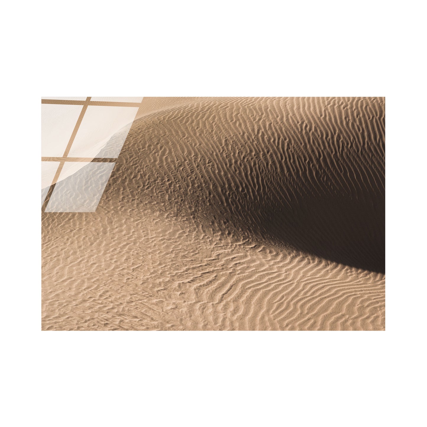 Dune in the Desert