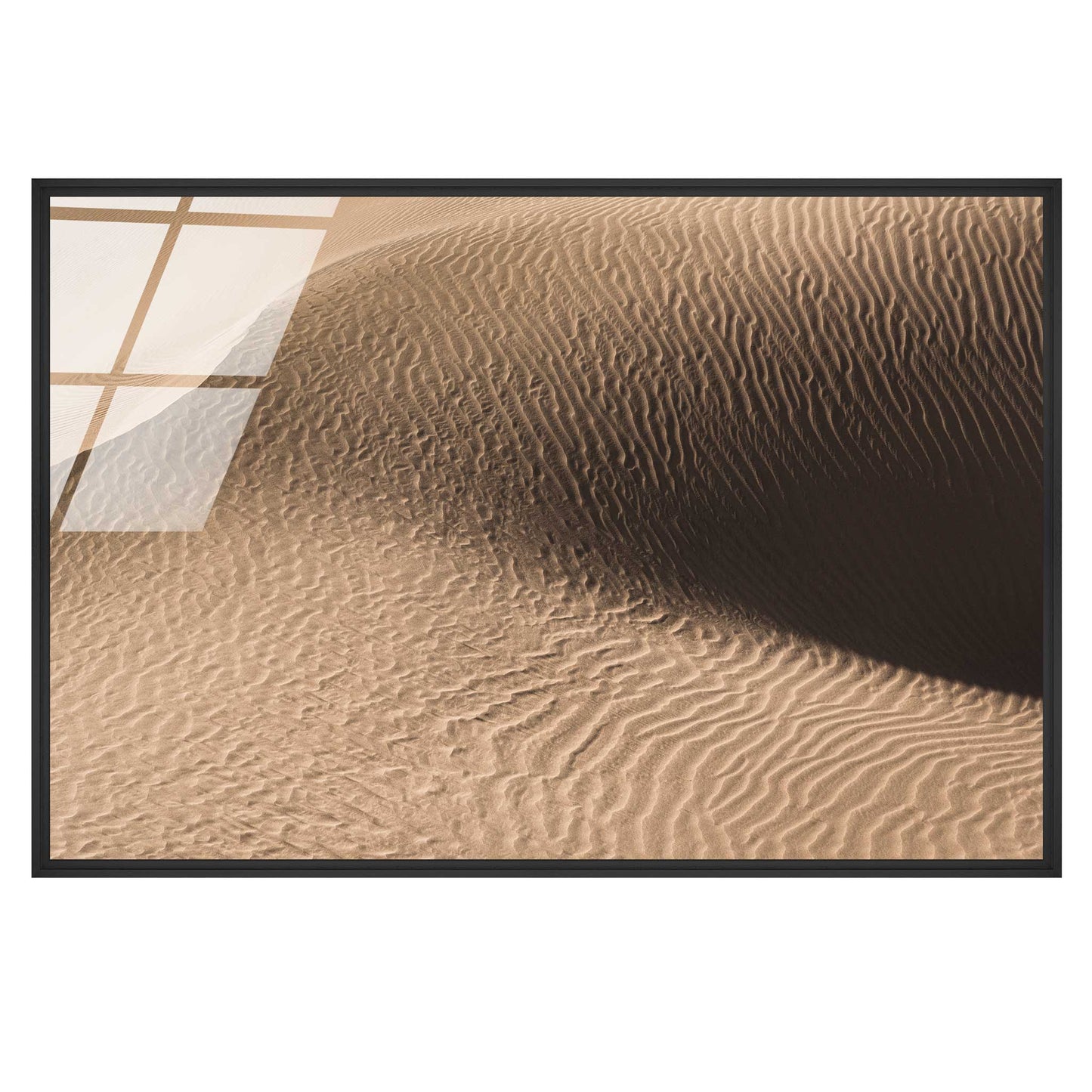 Dune in the Desert