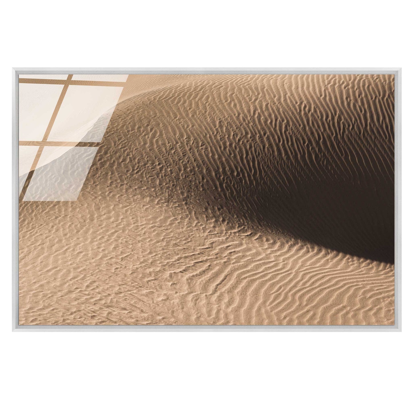 Dune in the Desert