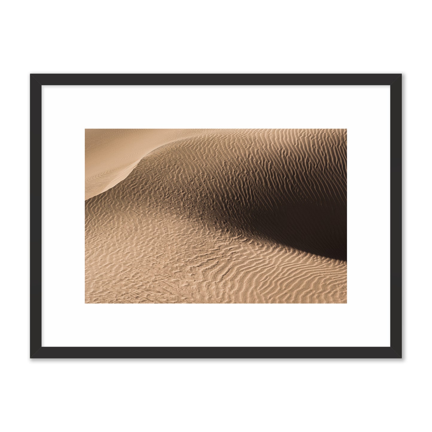 Dune in the Desert