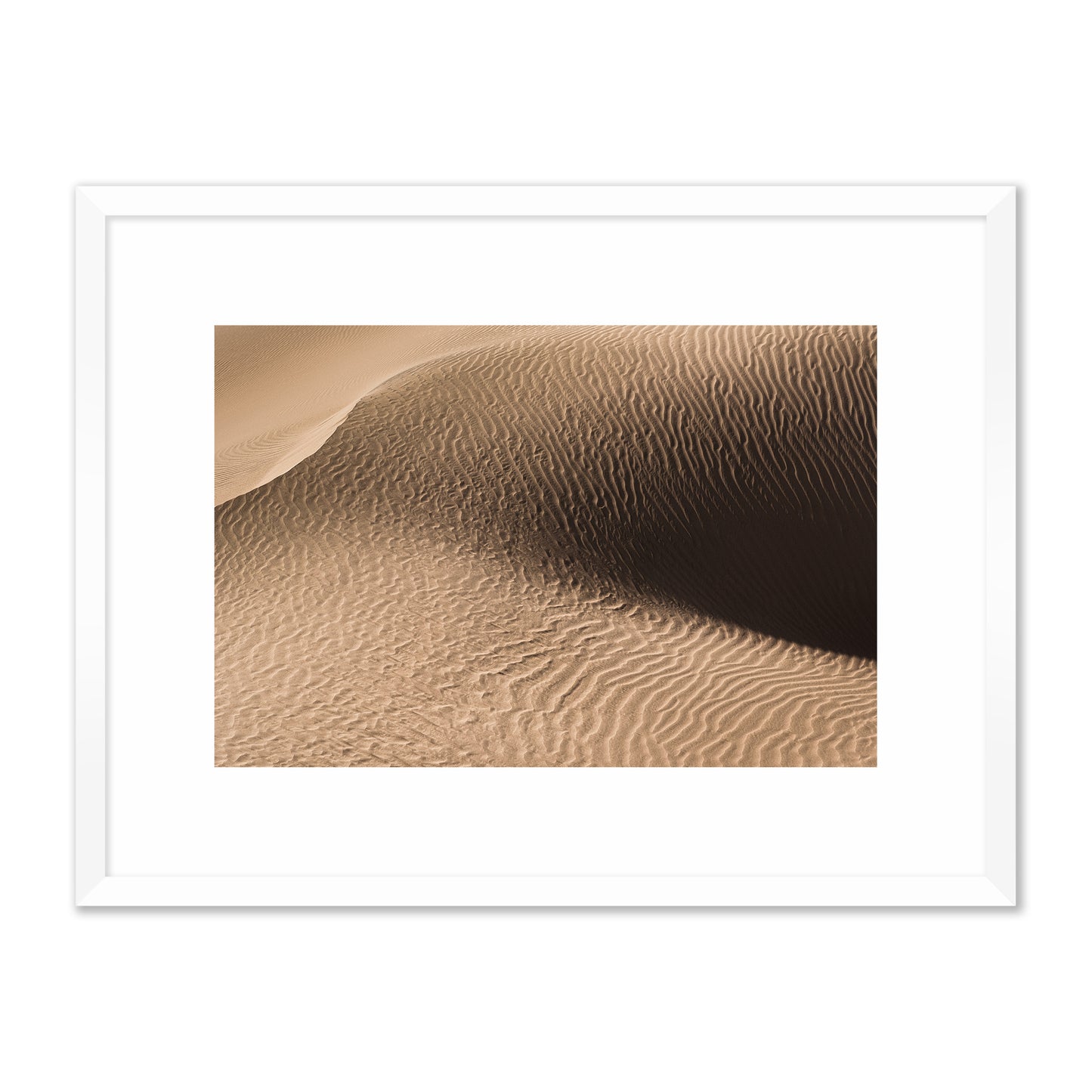 Dune in the Desert