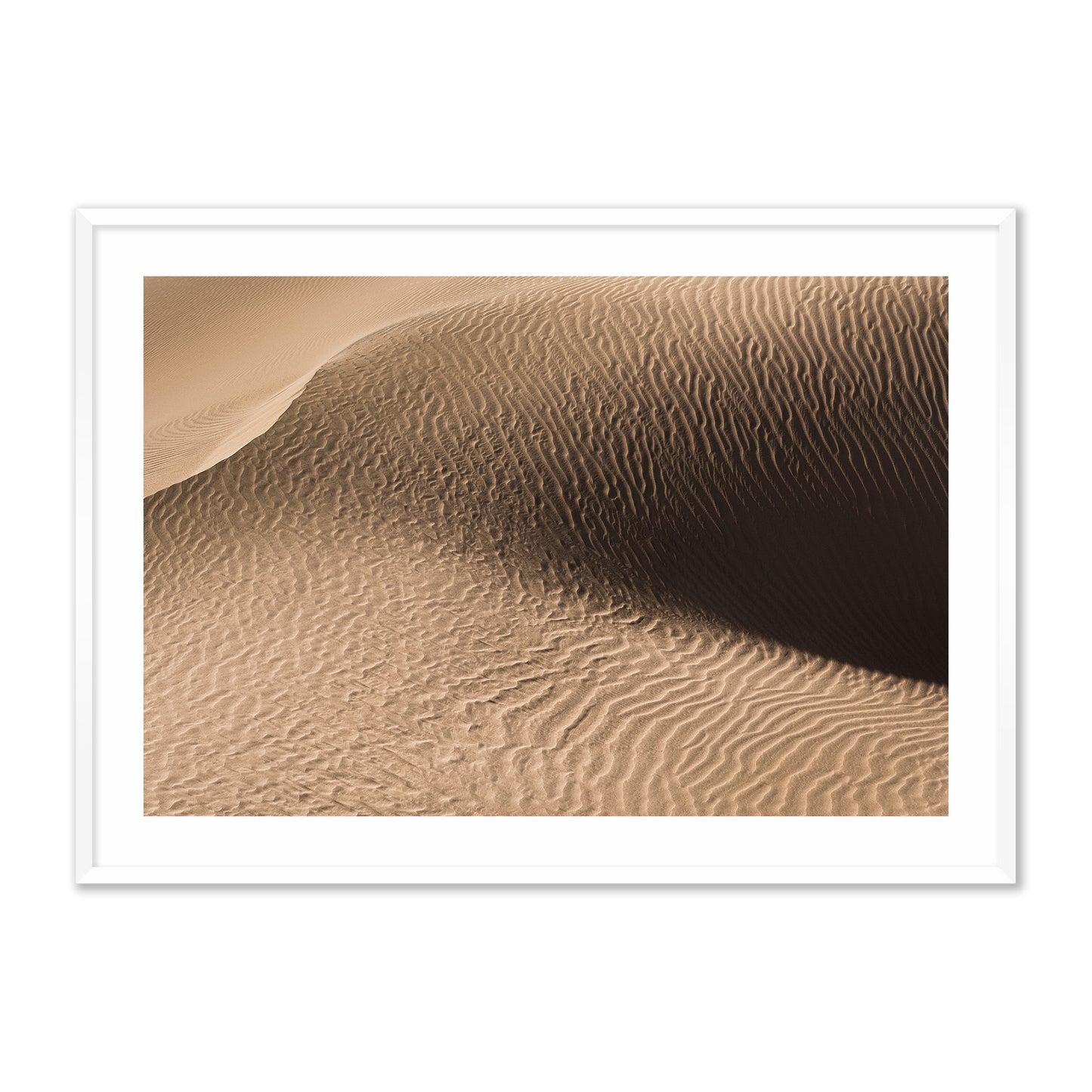 Dune in the Desert