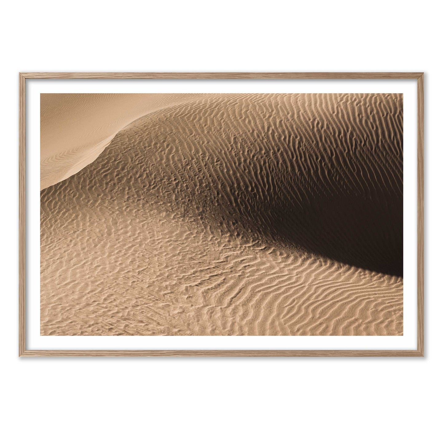 Dune in the Desert