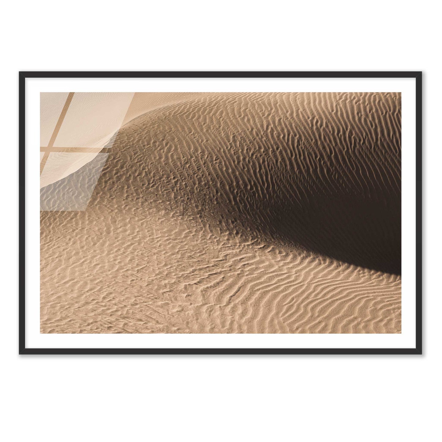 Dune in the Desert