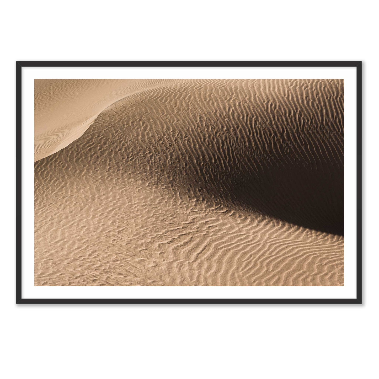 Dune in the Desert