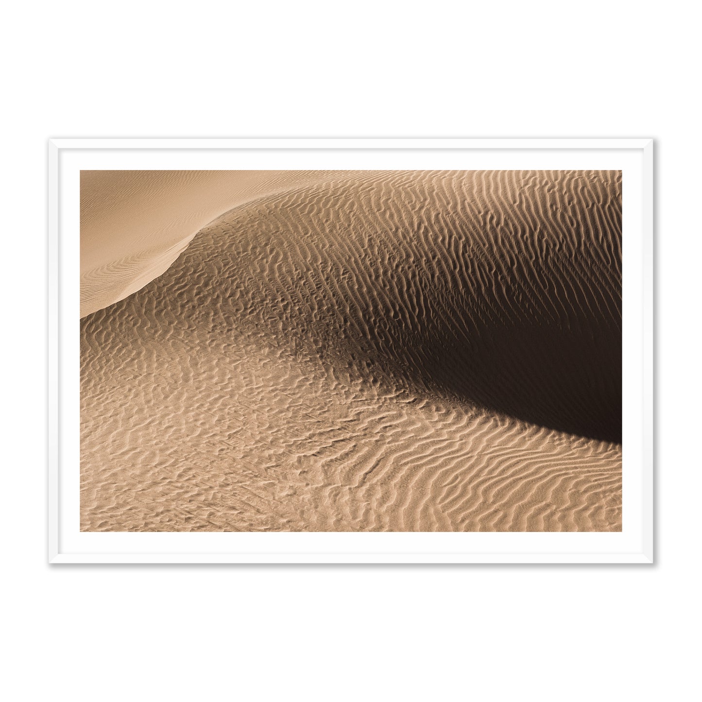 Dune in the Desert