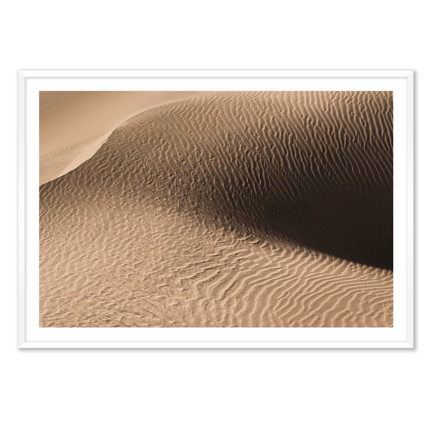 Dune in the Desert