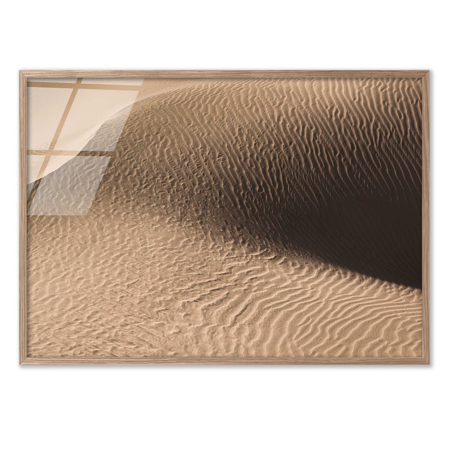 Dune in the Desert