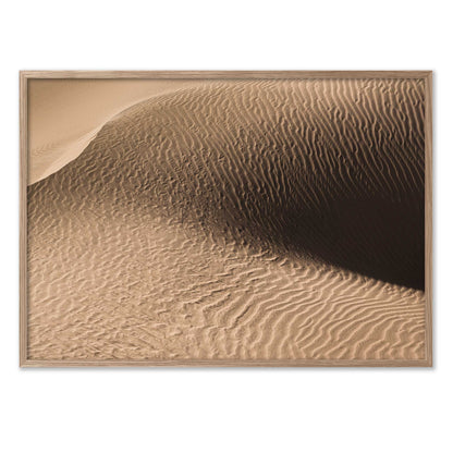Dune in the Desert