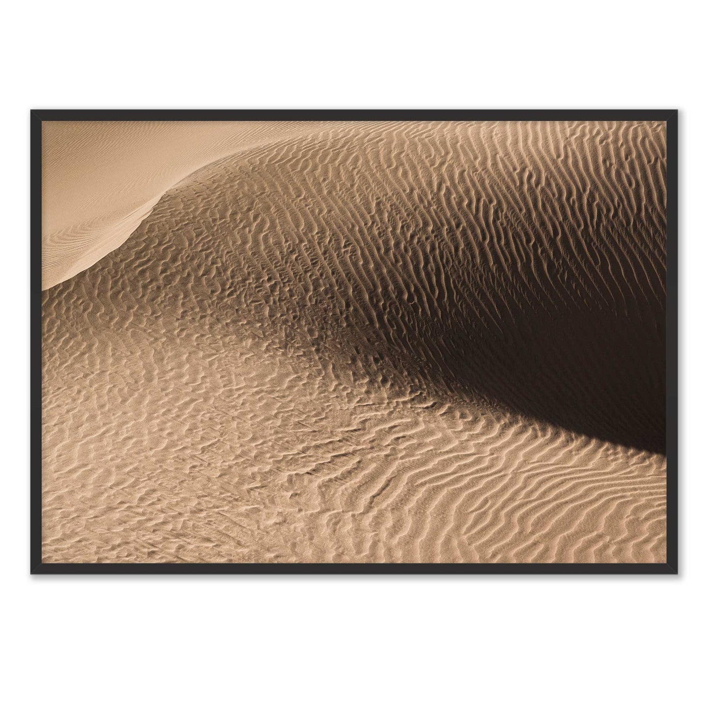 Dune in the Desert
