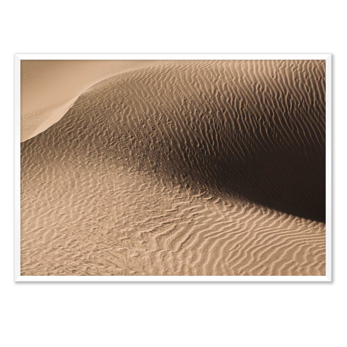 Dune in the Desert