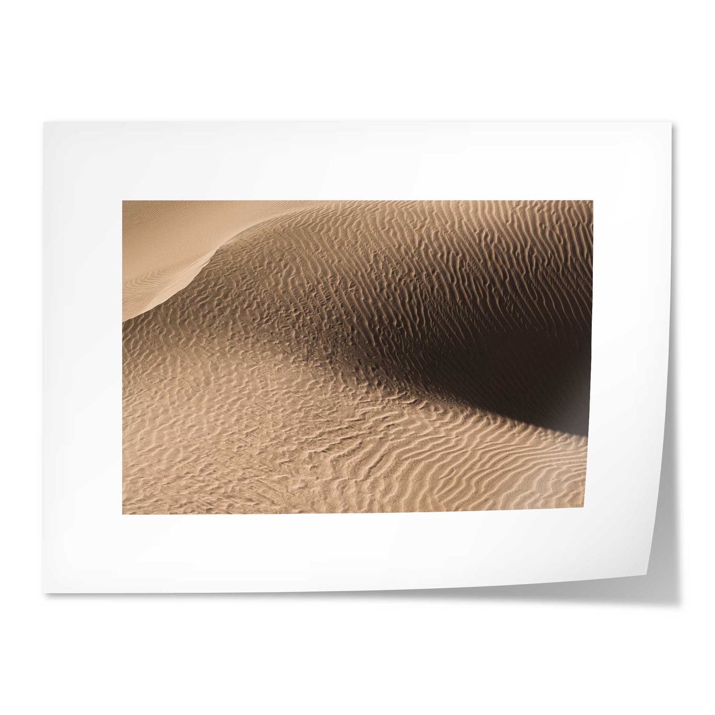 Dune in the Desert