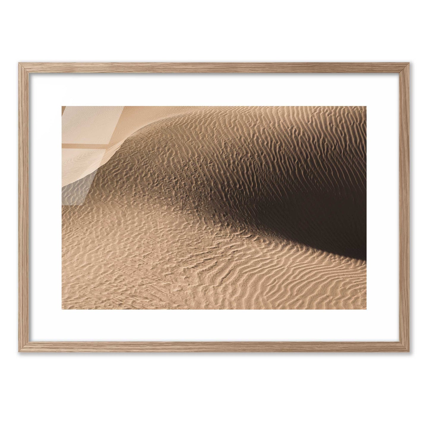 Dune in the Desert