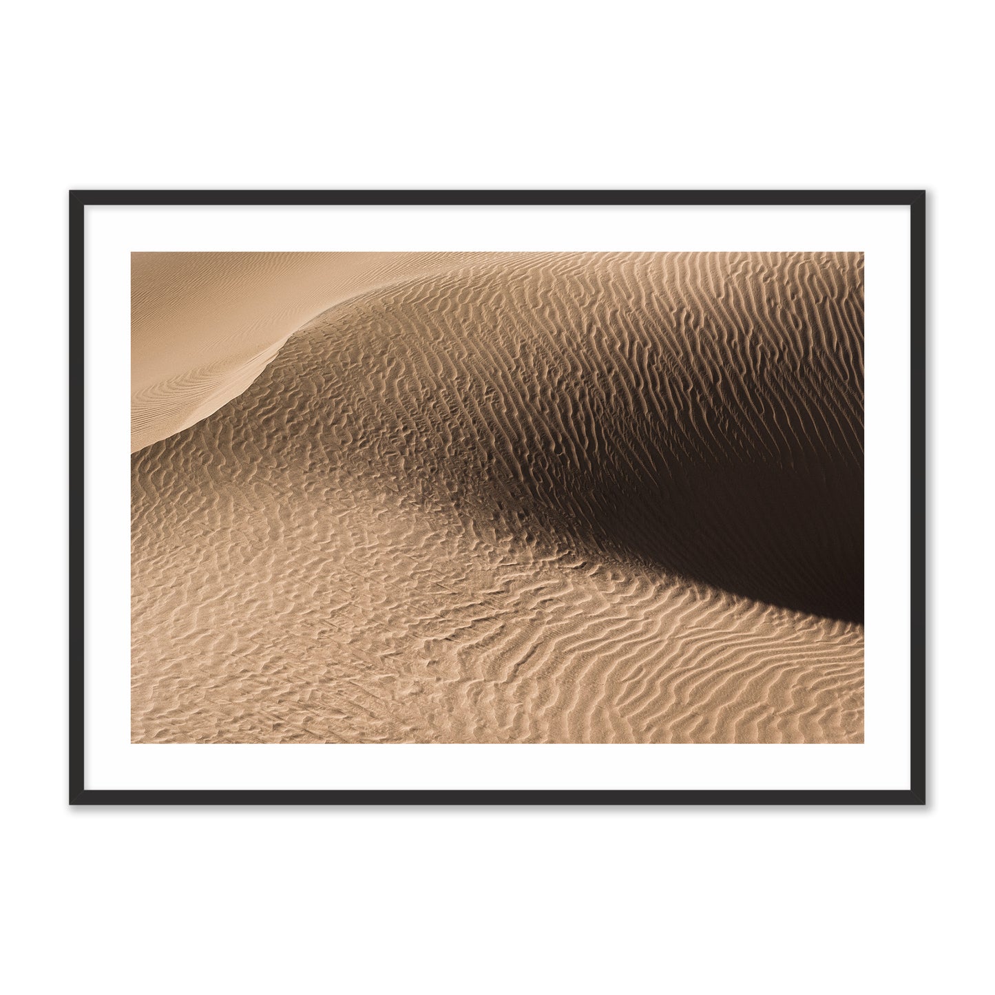 Dune in the Desert