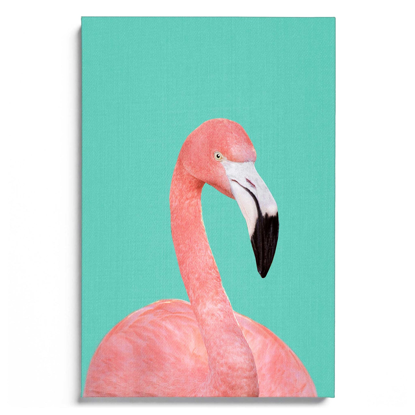 Flamingo in Blue