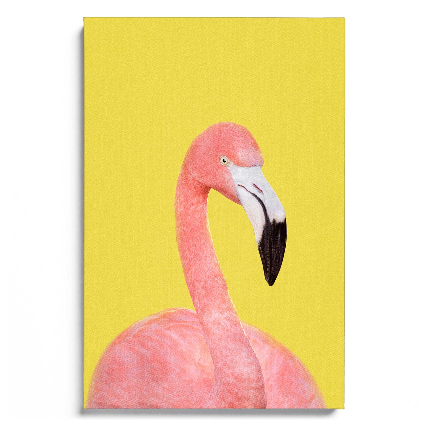 Flamingo in Yellow