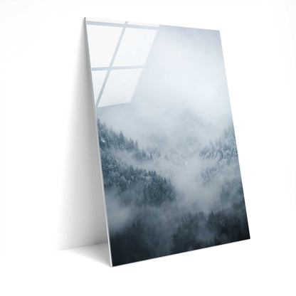 Fog Kissed