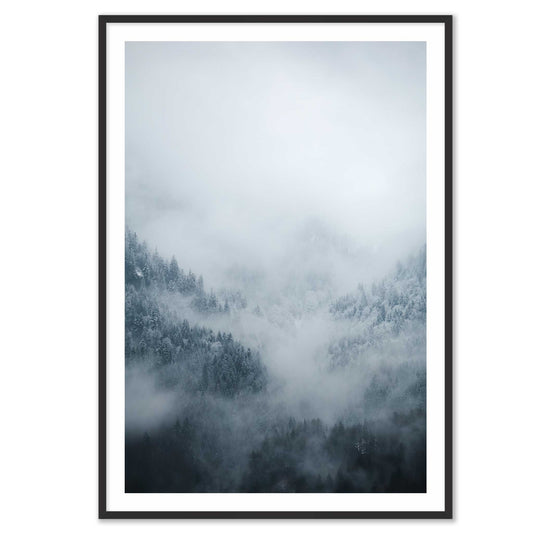 Fog Kissed