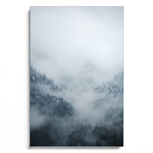 Fog Kissed