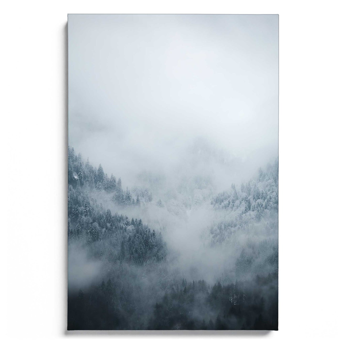 Fog Kissed