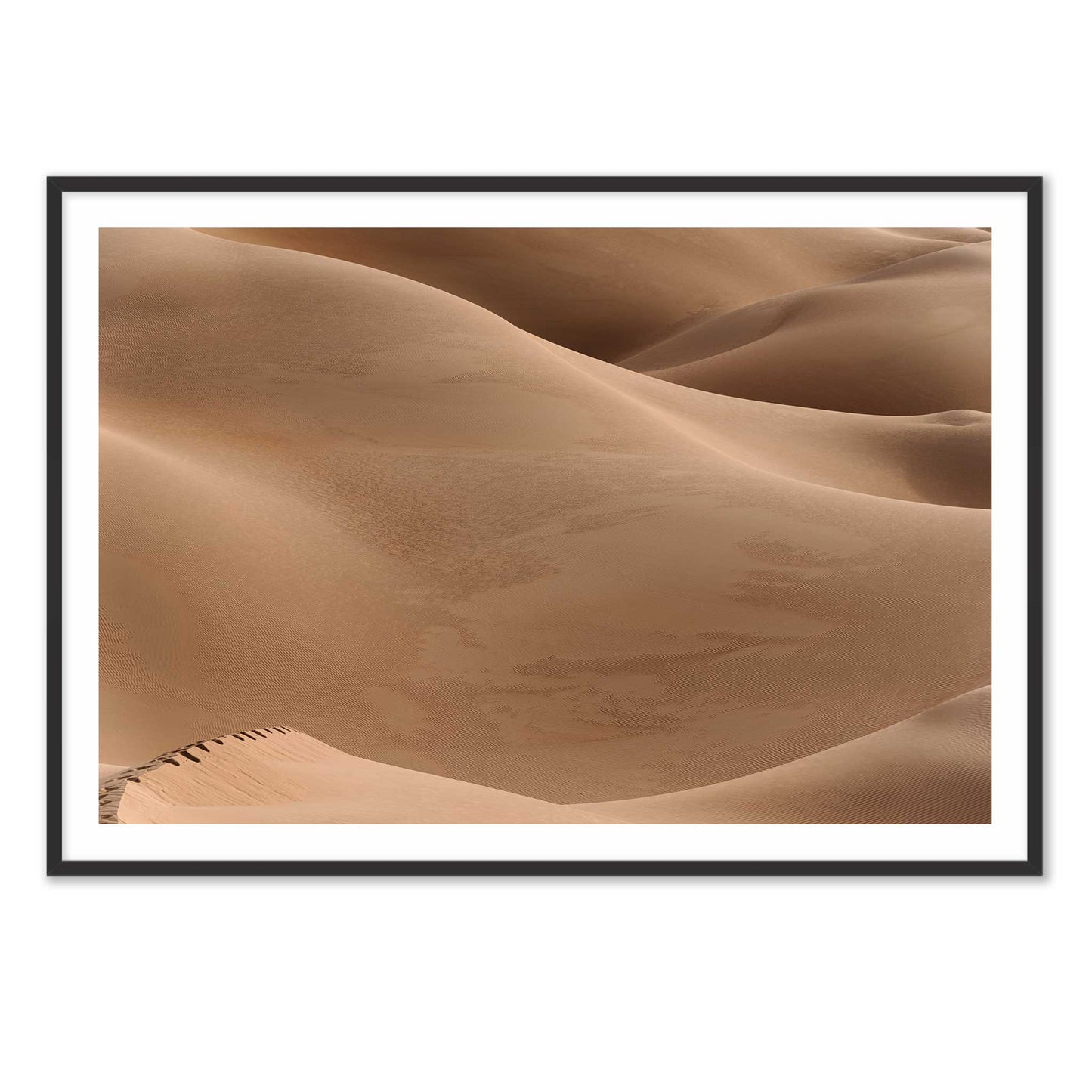 Footsteps in the Desert