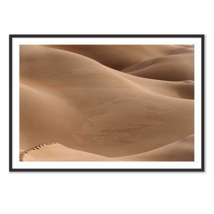 Footsteps in the Desert