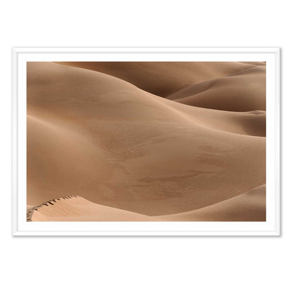 Footsteps in the Desert