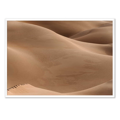 Footsteps in the Desert