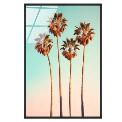 Hollywood Palm Trees