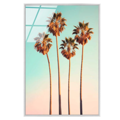 Hollywood Palm Trees