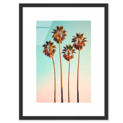 Hollywood Palm Trees