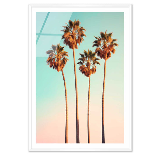 Hollywood Palm Trees