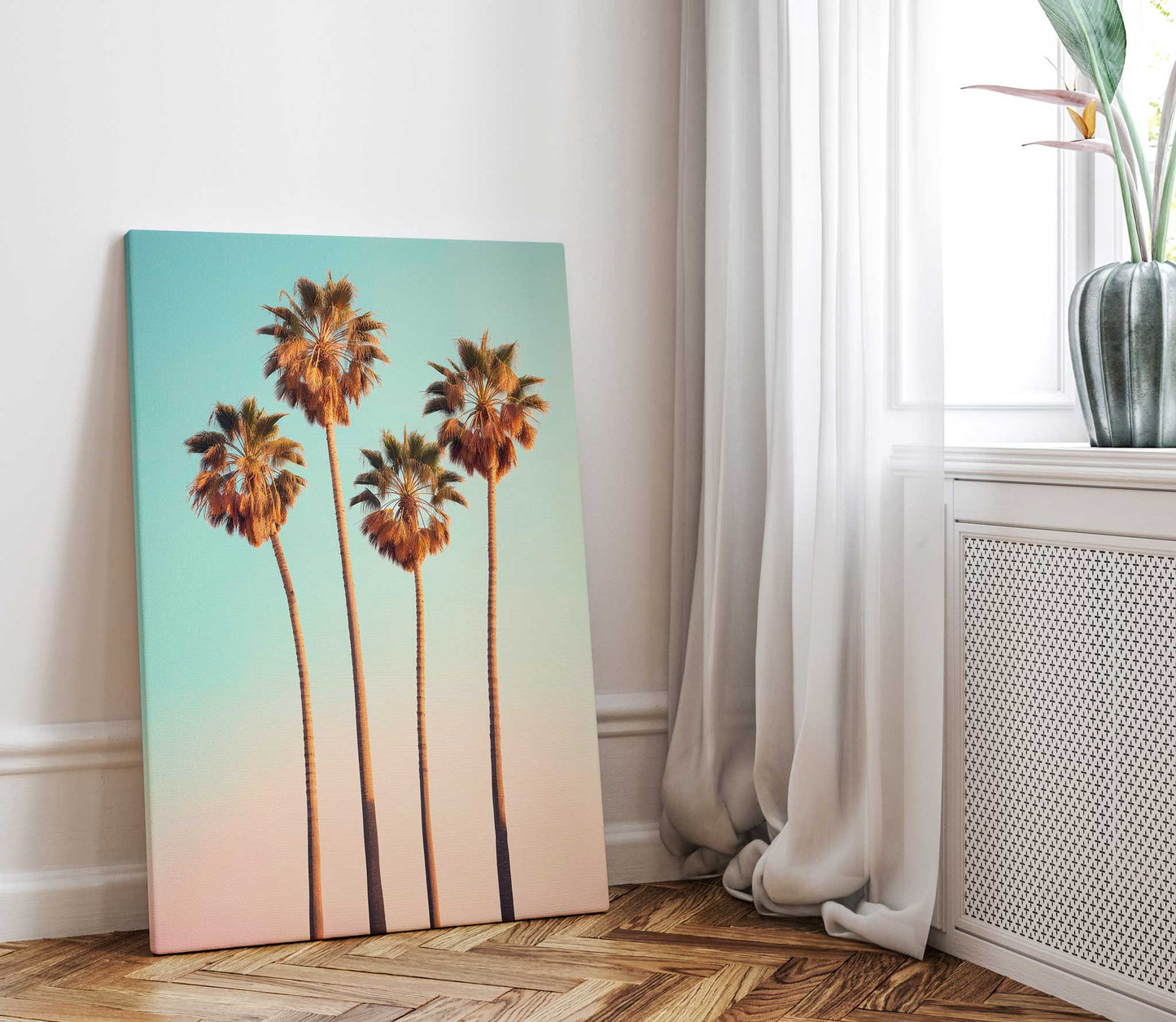 Hollywood Palm Trees