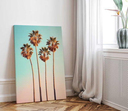 Hollywood Palm Trees