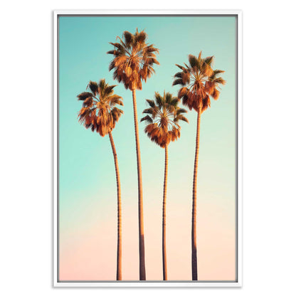 Hollywood Palm Trees