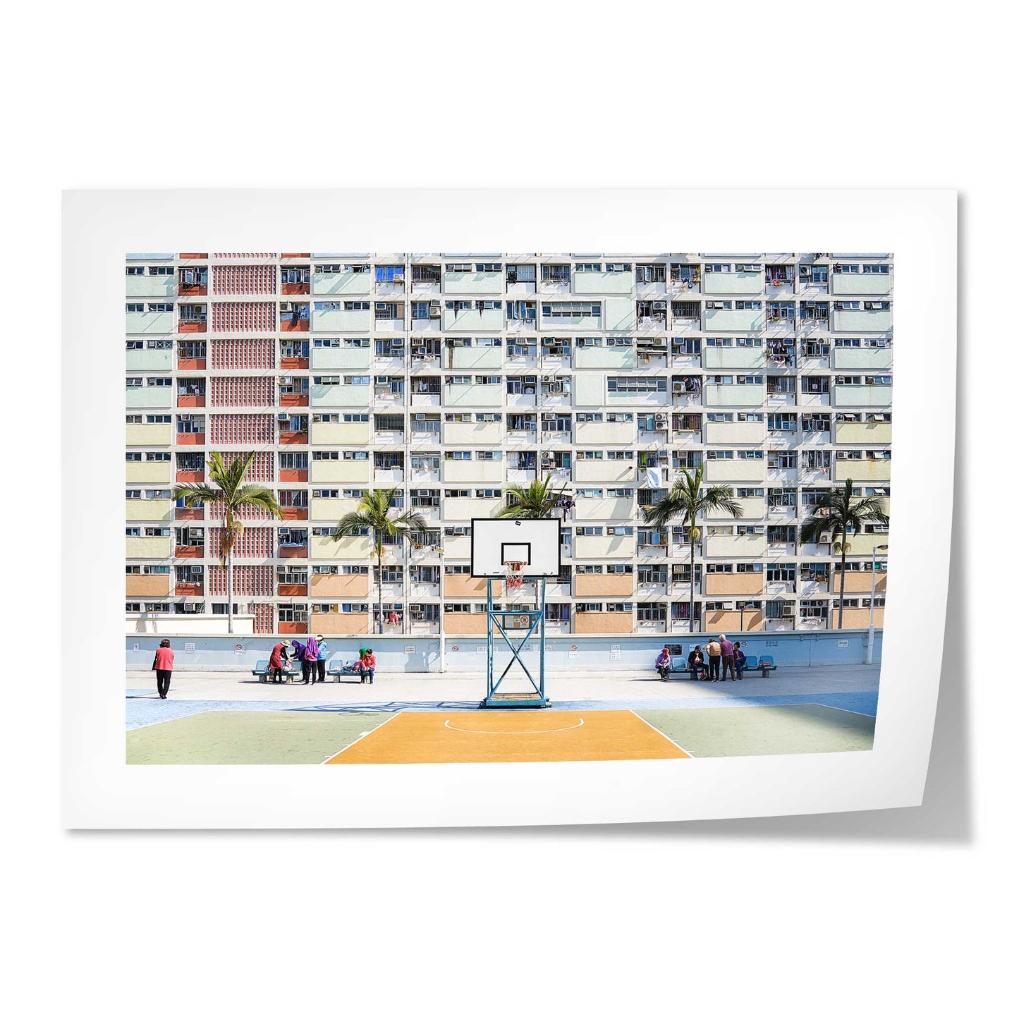 Hong Kong Basket