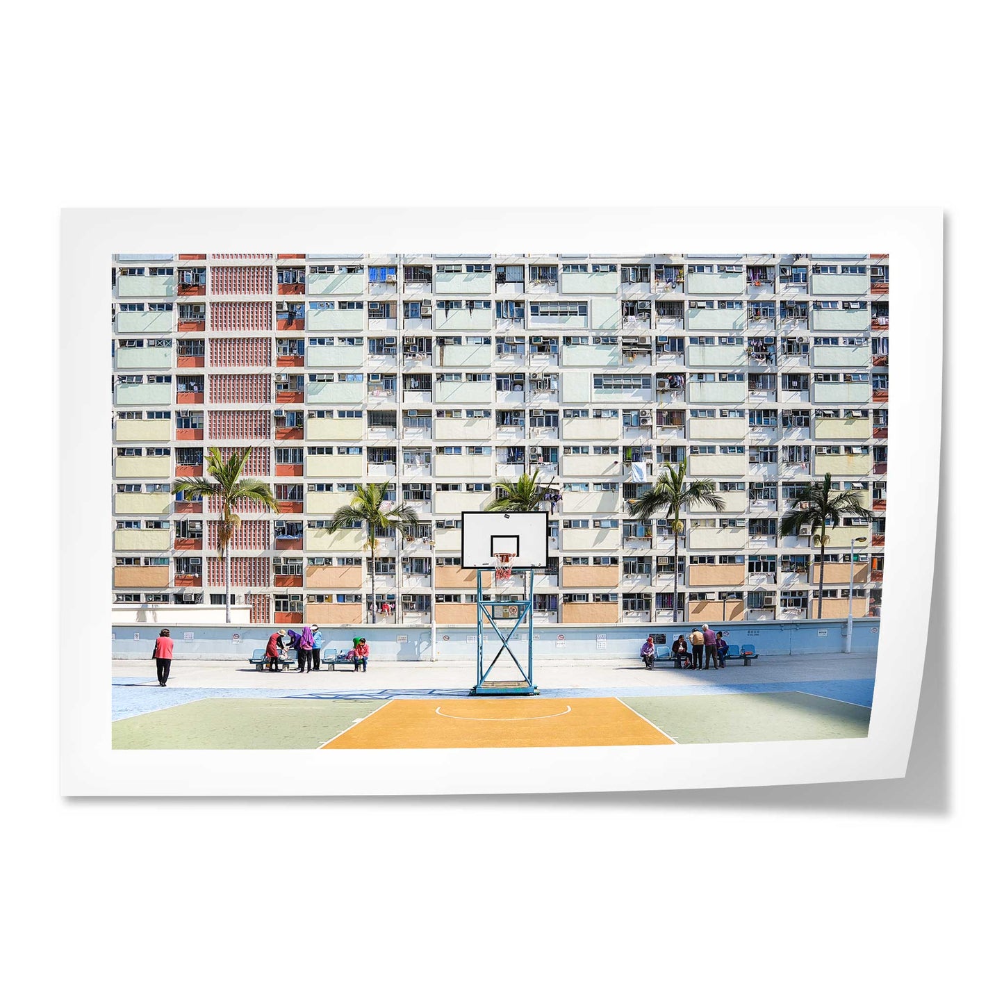 Hong Kong Basket