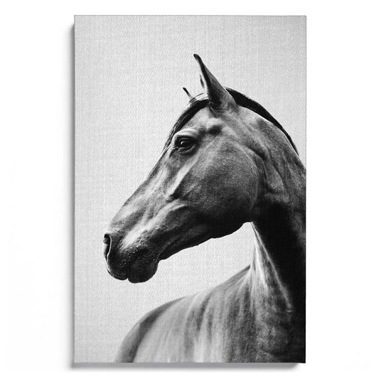 Horses B&W 2