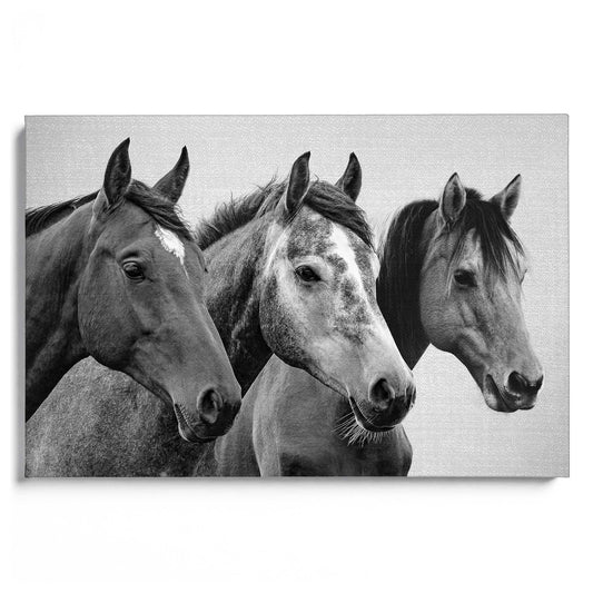 Horses B&W 3