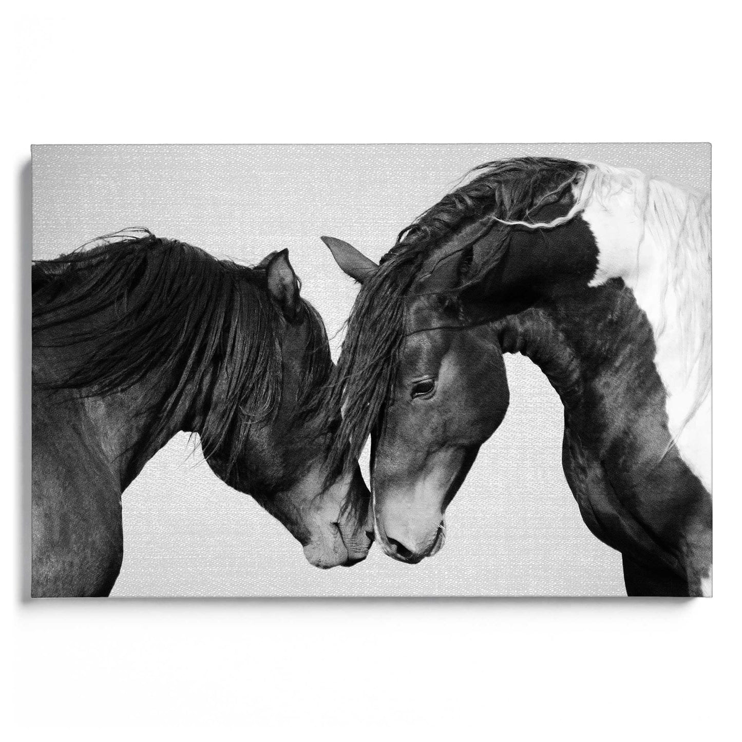 Horses B&W 4